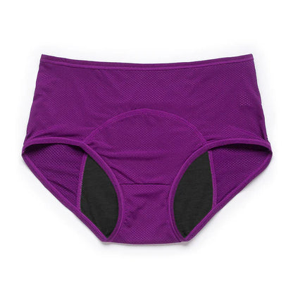 Comfy & Discreet Leakproof Underwear (Heavy Absorbency Bundles)